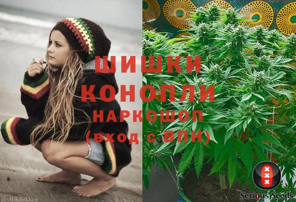 крисы Вязьма