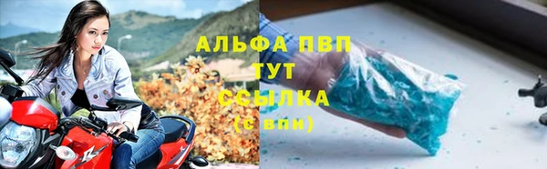 крисы Вязьма