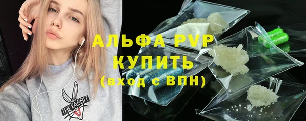 крисы Вязьма