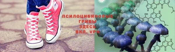 COCAINE Вяземский