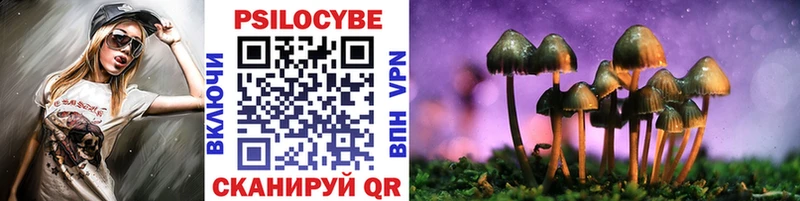 Псилоцибиновые грибы GOLDEN TEACHER  Приозерск 